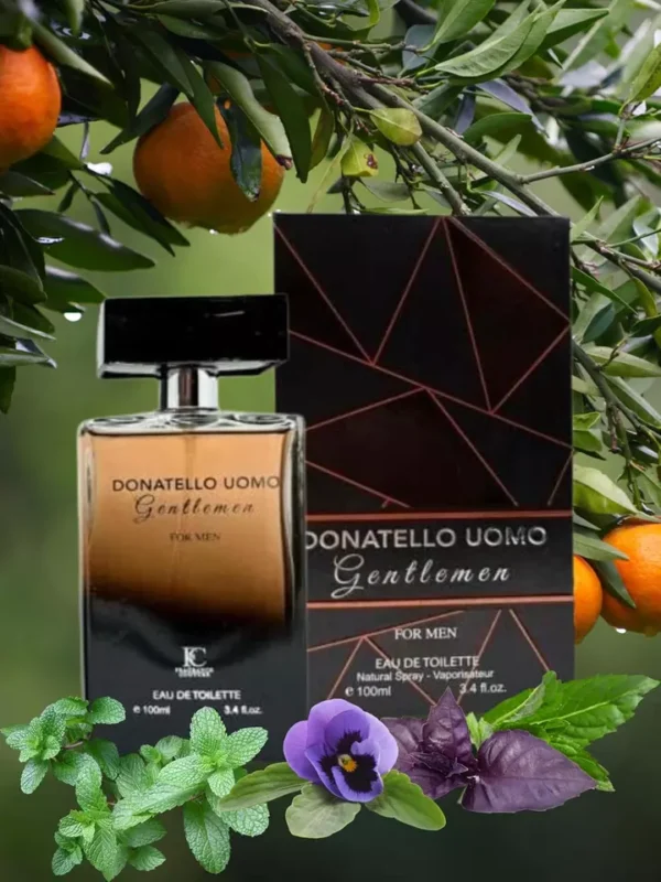 Donatello UOMO Gentleman For Men, Amber Woody fragrance for Men. Eau de Toilette - Image 6