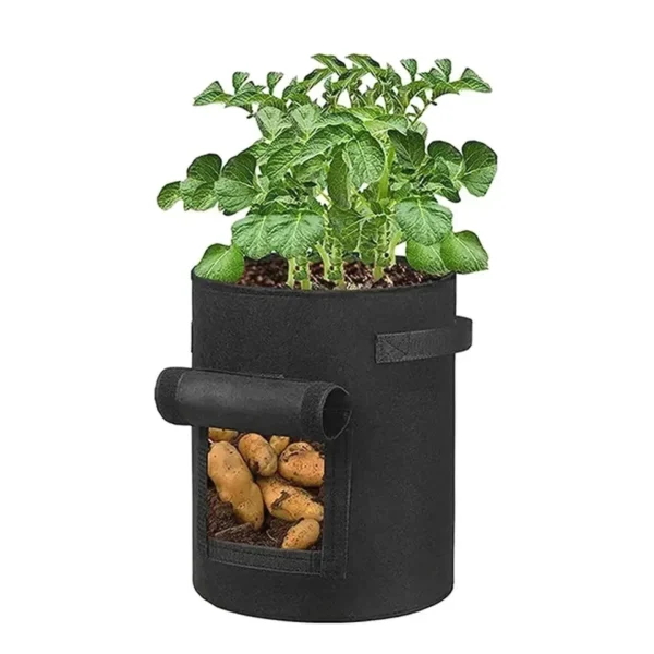 Set of 3 Grow Bags with Viewing Window–Potato & Tomato Planters(Nonwoven Fabric) - Image 3