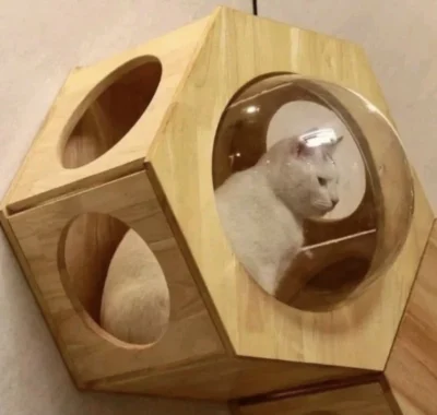 PETOMG Cat Perch, Cat Wall Bed Shelf House Hexagon Rubberwood 43.3 Cm Rubberwood - Image 5