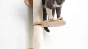 PETOMG Cat Scratching Post, Cat Wall Shelves climbing tree, Cat Walks | Rubberwood