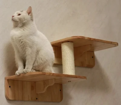 2-Levels Cat Wall steps Cat Shelf, Cat Ladder Cat climbers for wall Rubberwood