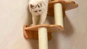 3-Levels Cat Wall steps Cat Shelf, Cat Ladder Cat climbers for wall Rubberwood