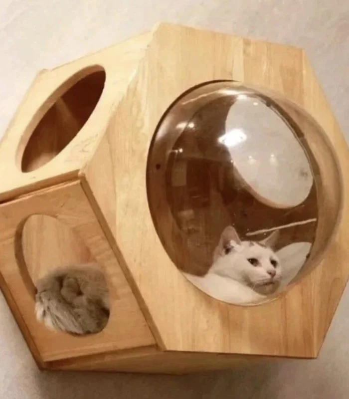 PETOMG Cat Perch, Cat Wall Bed Shelf House Hexagon Rubberwood 43.3 Cm Rubberwood
