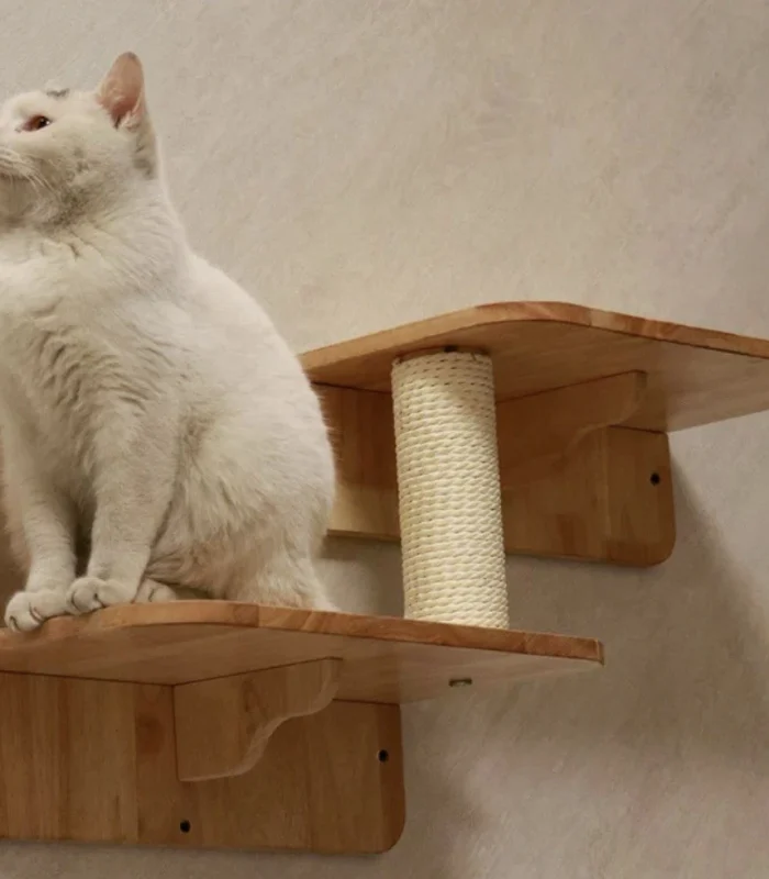 2-Levels Cat Wall steps Cat Shelf, Cat Ladder Cat climbers for wall Rubberwood
